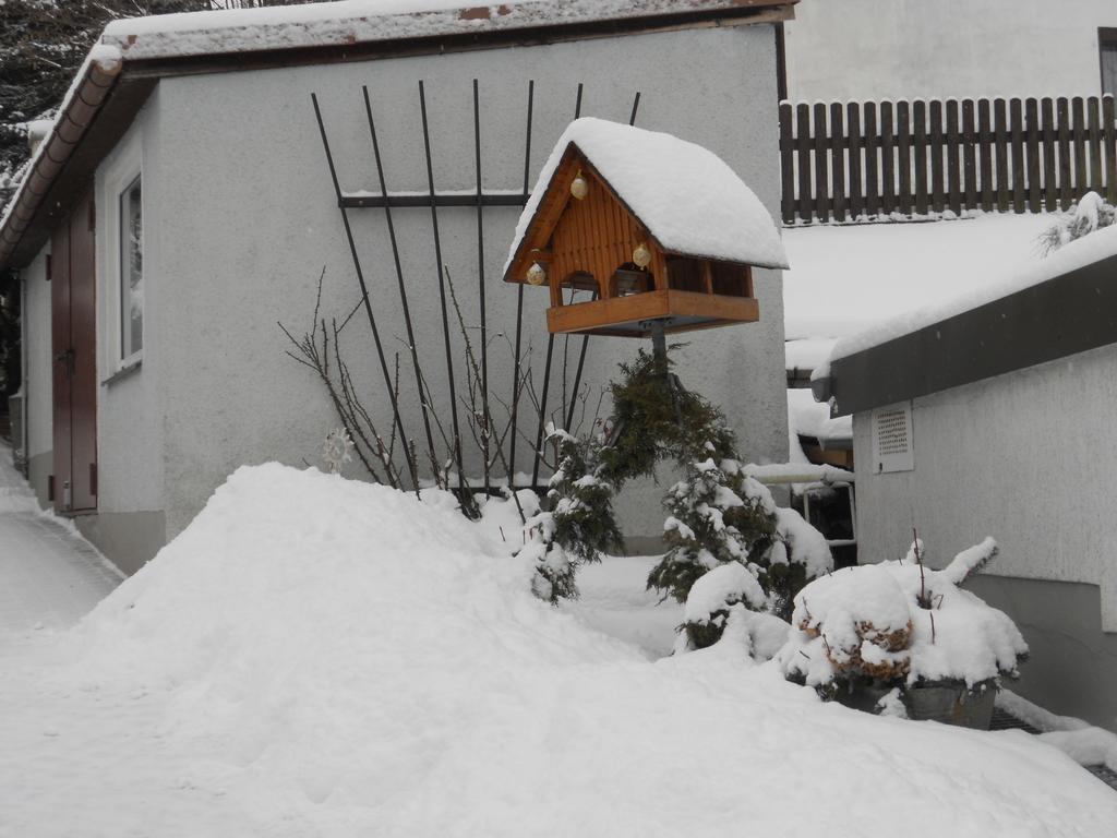 Ferienhaus Zittau Oberlausitz & Ferienwohnung Am Hamann Berg Exterior foto