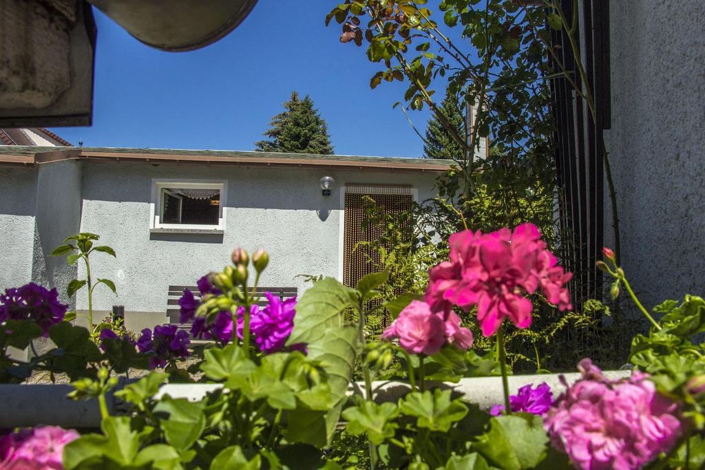 Ferienhaus Zittau Oberlausitz & Ferienwohnung Am Hamann Berg Exterior foto